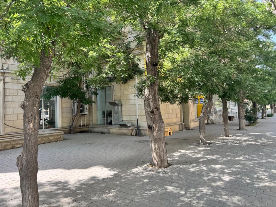 Satılır obyekt 250 m² — Əmlak, Bakı (2)