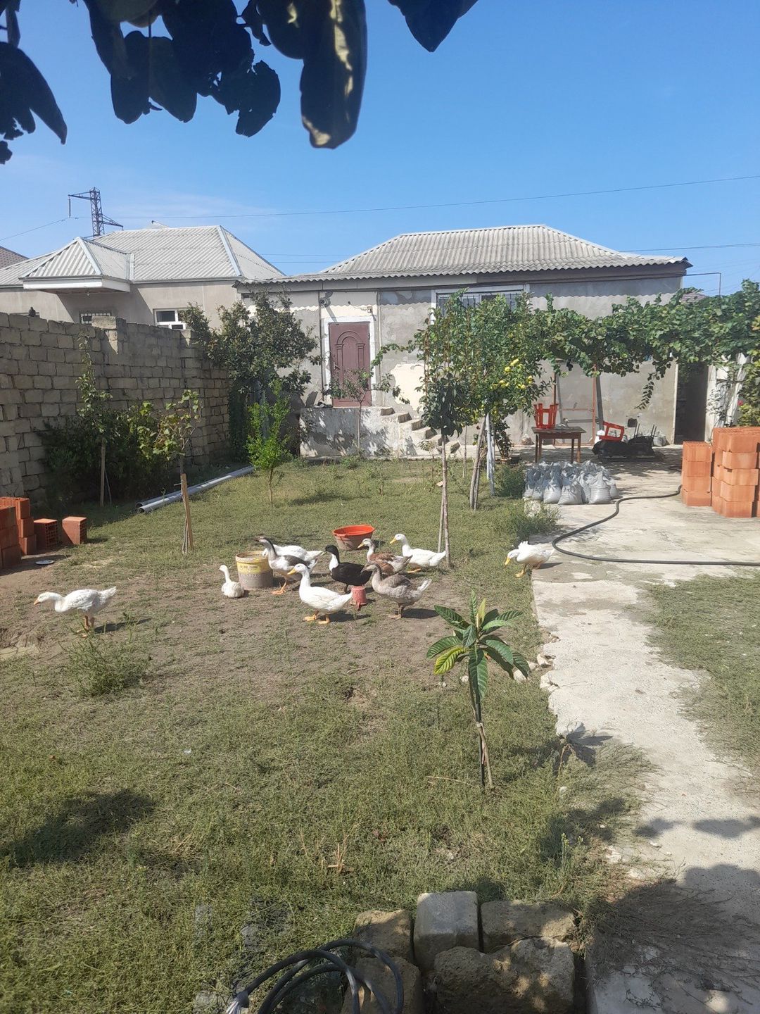 Satılır 4 otaqlı həyət evi/bağ evi 95 m² — Ev, villa, Bakı (7)