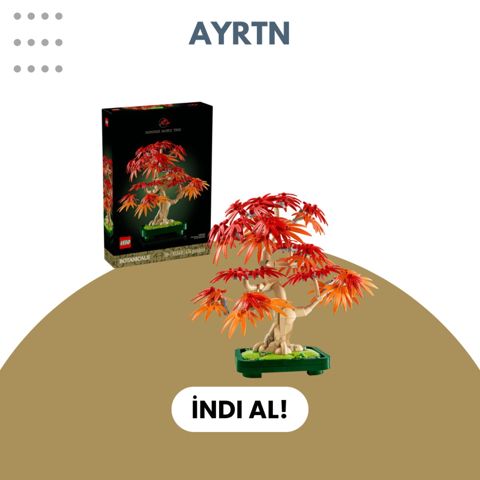 Lego Botanicals Japanese Red Maple Bonsai Tree (10348) — Bakı
