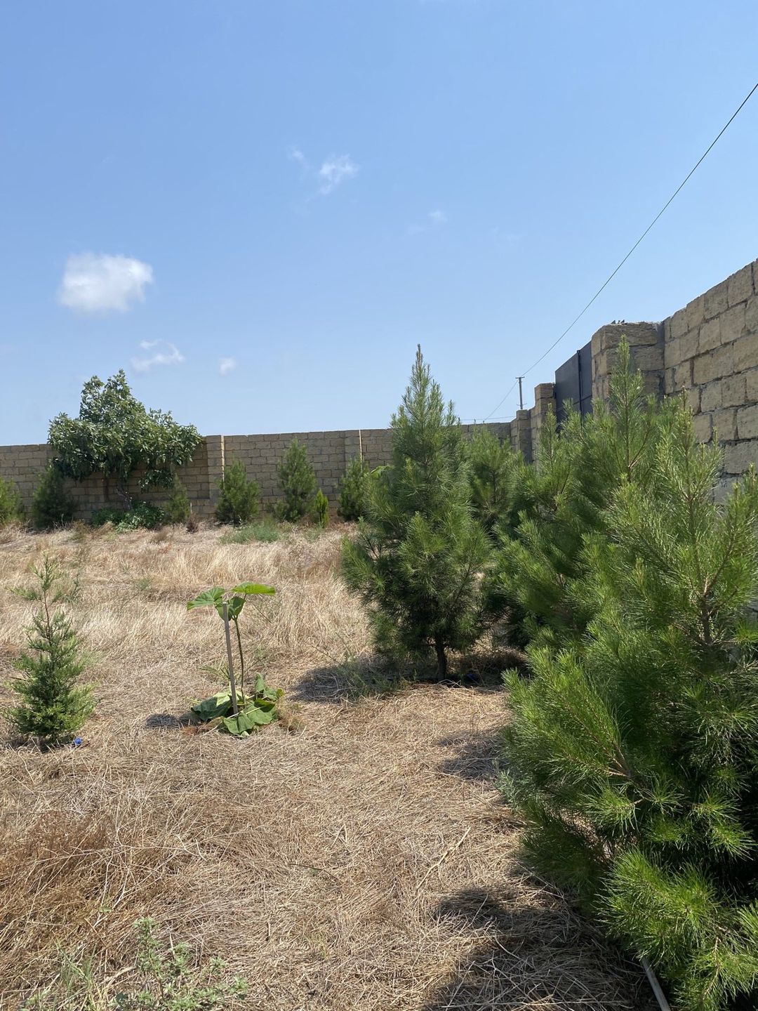 Satılır torpaq 12 sot — Torpaq, Bakı (7)