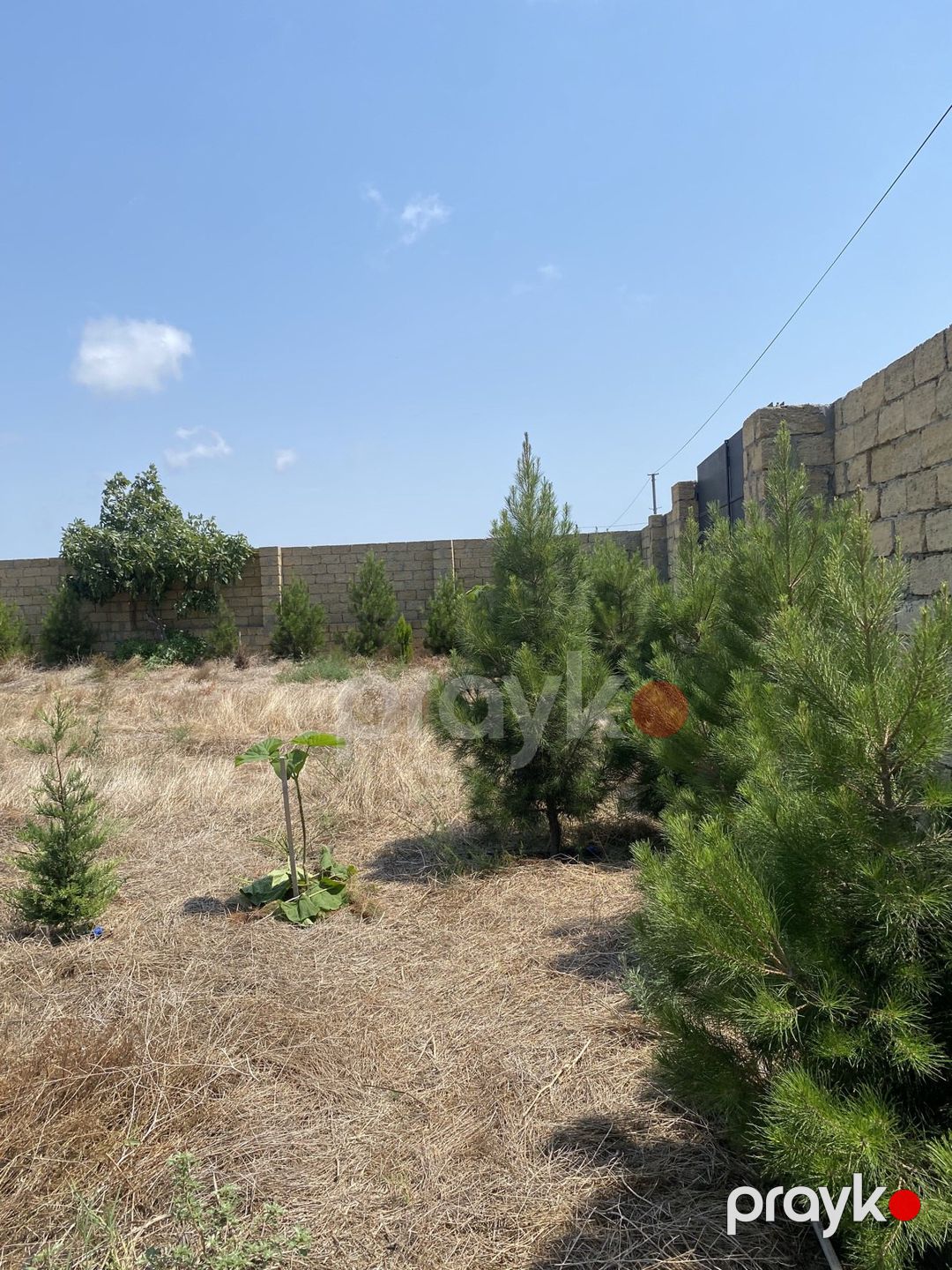 Satılır torpaq 12 sot — Torpaq, Bakı (9)