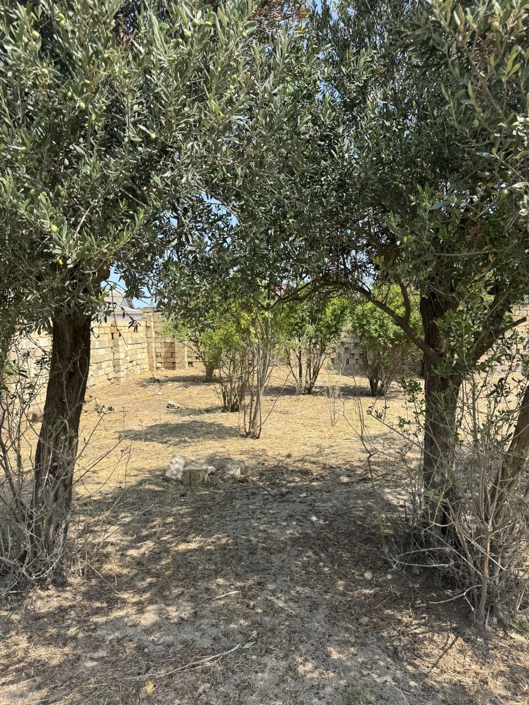 Satılır torpaq 3 sot — Torpaq, Bakı (3)