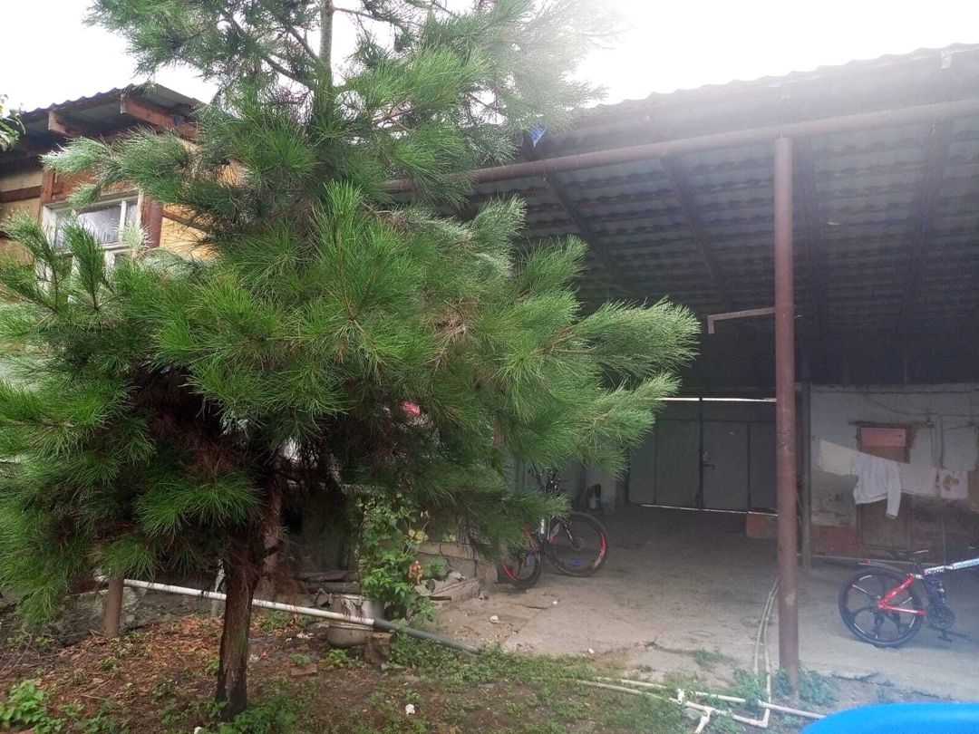 Satılır torpaq 4 sot — Torpaq, Quba (6)