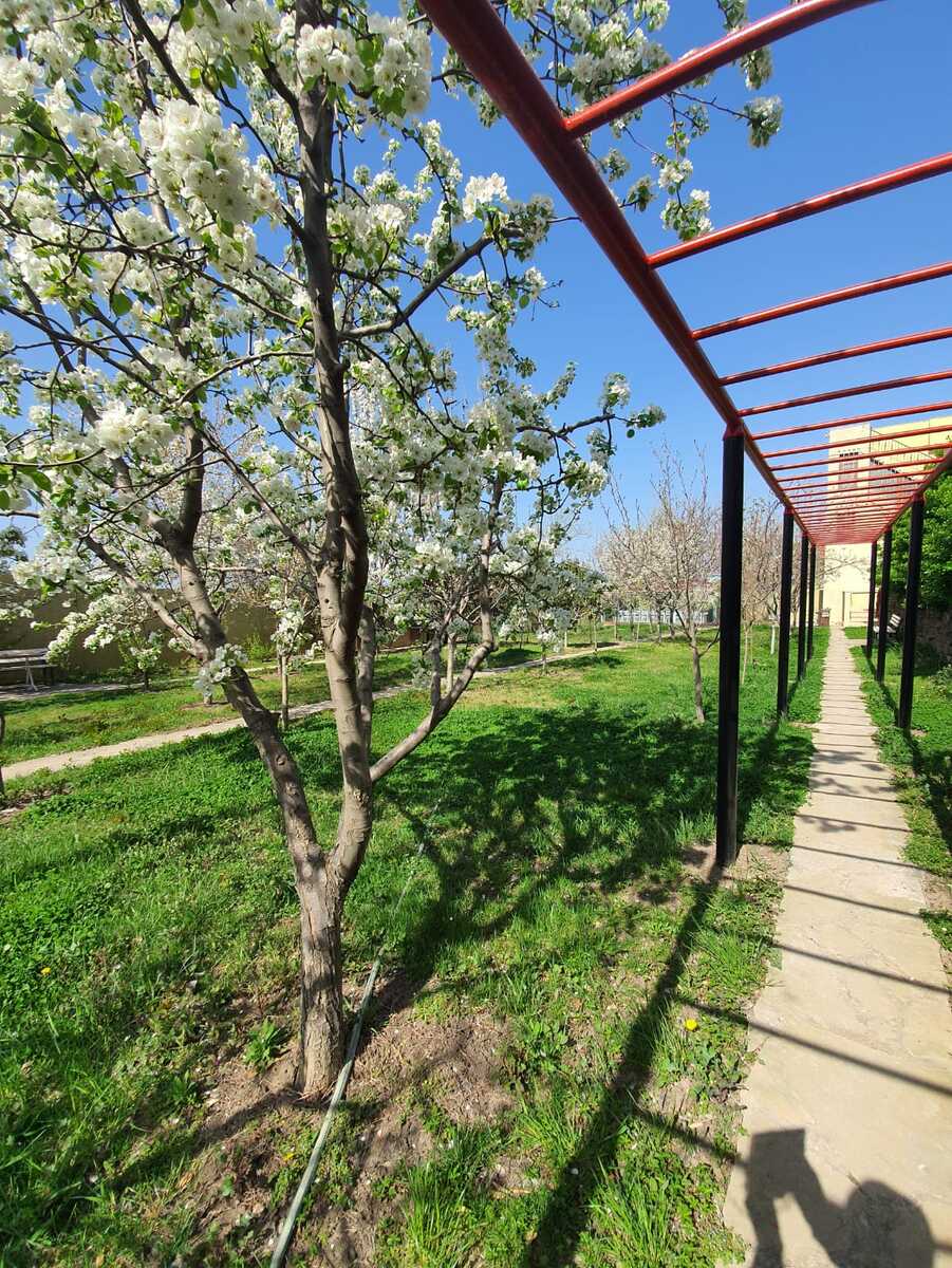 Satılır torpaq 20 sot — Torpaq, Bakı (8)