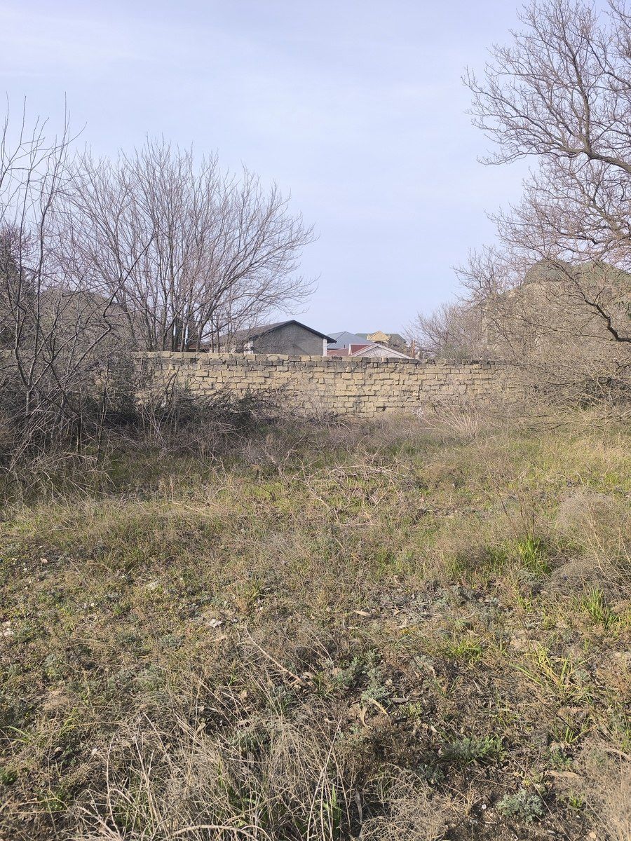Satılır torpaq 41 sot — Torpaq, Bakı (11)