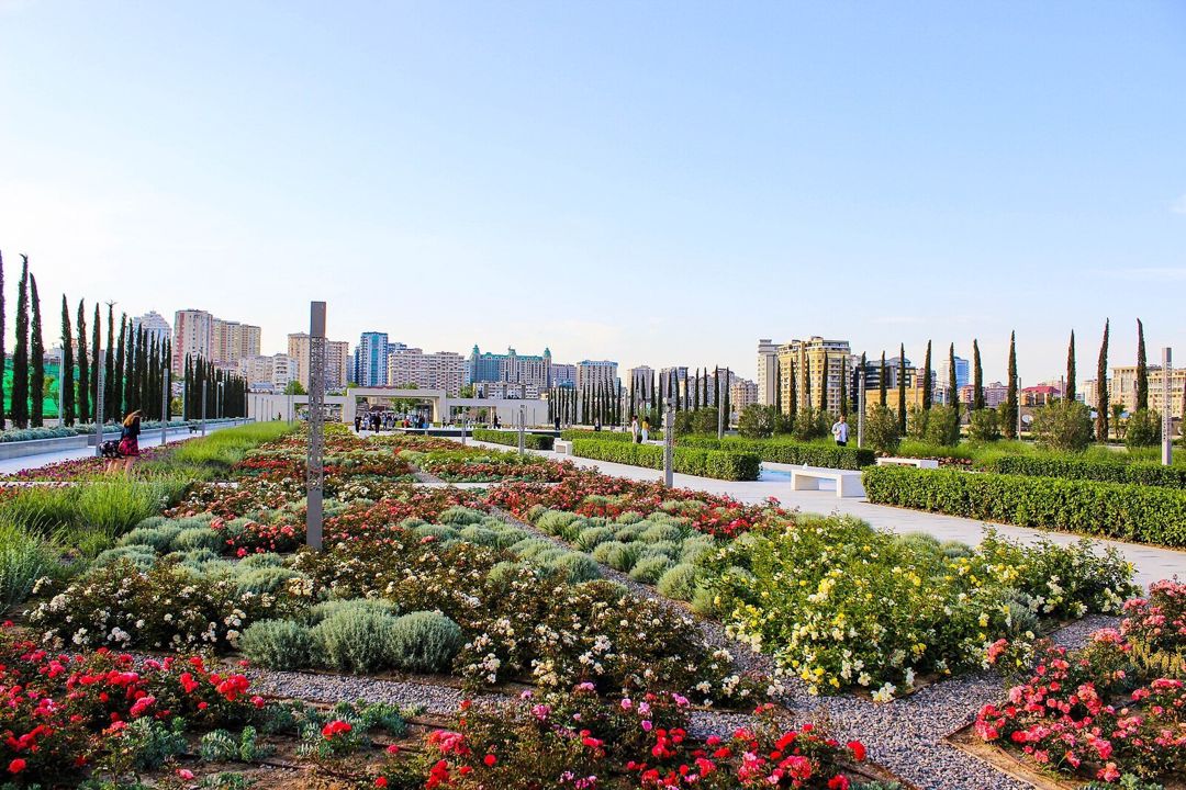 İcarəyə verilir obyekt 200 m² — Əmlak, Bakı (12)