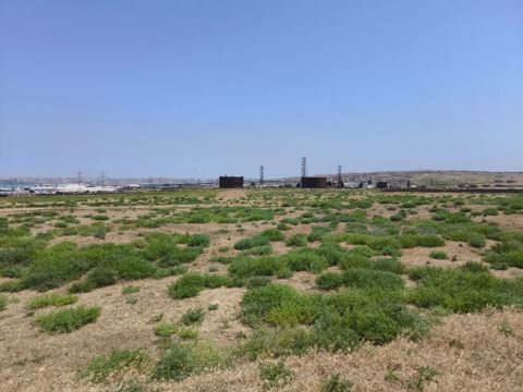Satılır torpaq 780 sot — Bakı