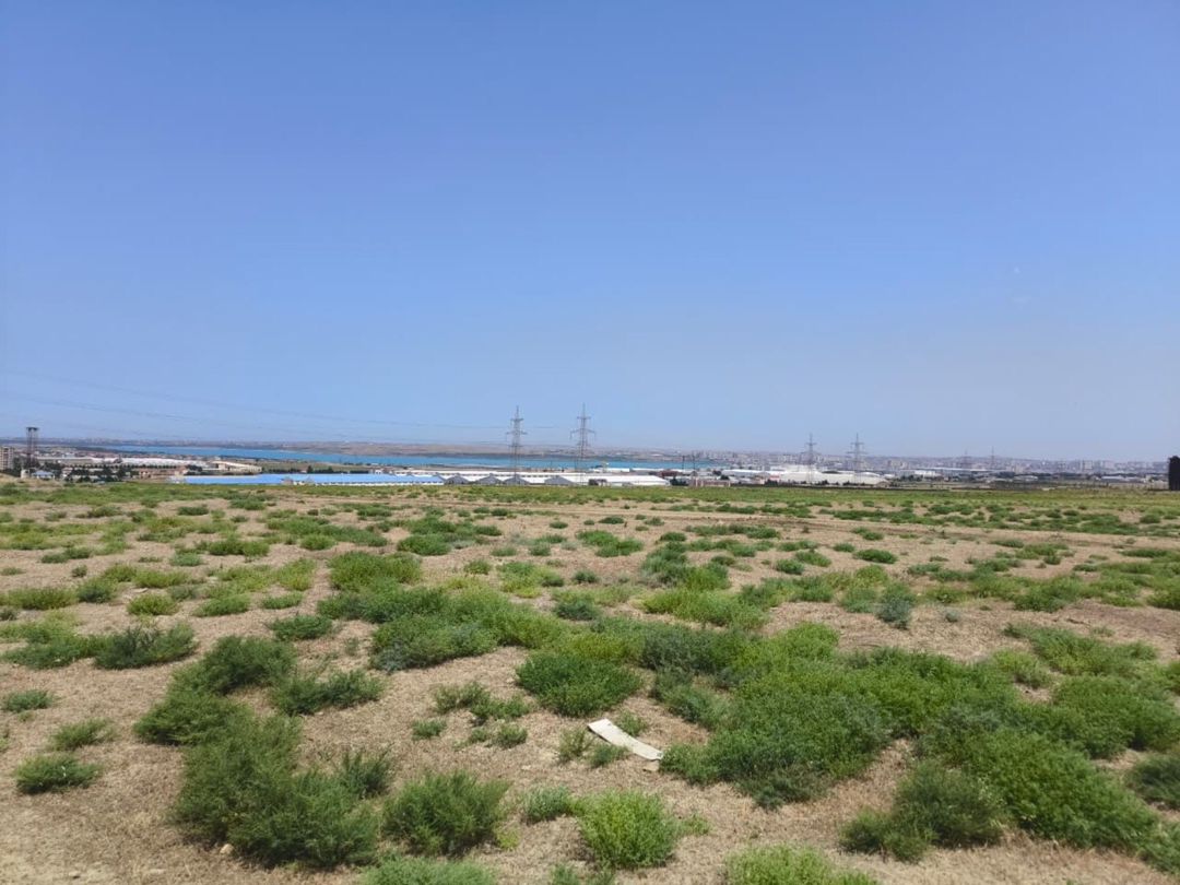Satılır torpaq 780 sot — Torpaq, Bakı (4)