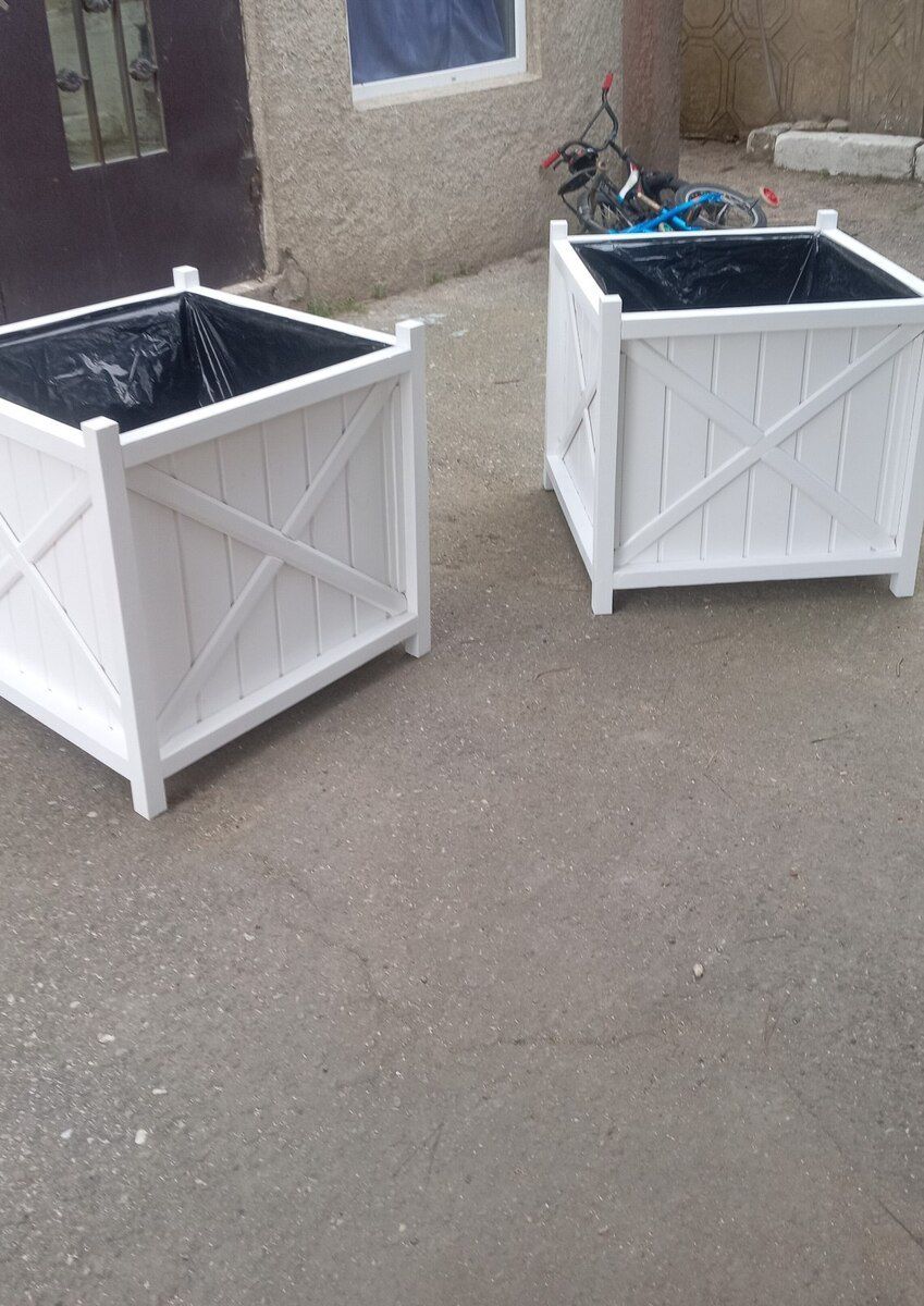 Dibçəklər — Bitkilər, Bakı (9)