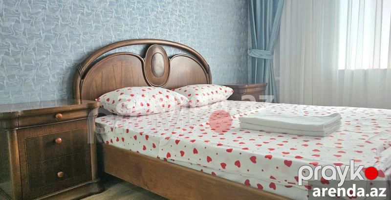 Kirayə (günlük) 2 otaqlı Köhnə Tikili, 28 May metrosu, 28 Mall, Nəsimi rayonu — Mənzil, Bakı (8)