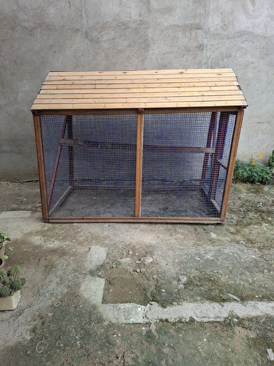 Toyuq damı — Heyvan malları, Bakı (2)