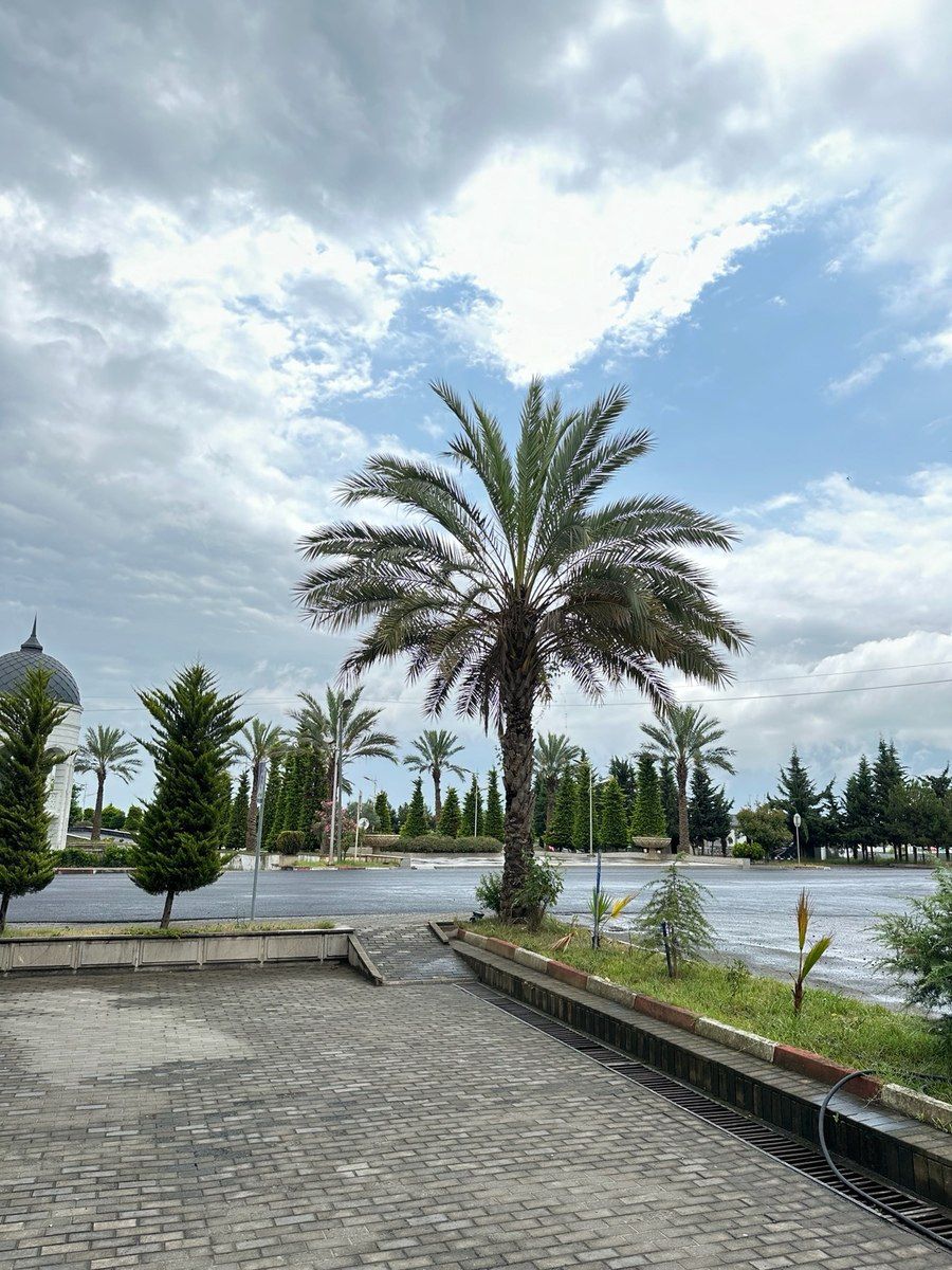 6-otaqlı yeni tikili kirayə verilir, Astara r., 212 m² — Mənzil, Astara (5)