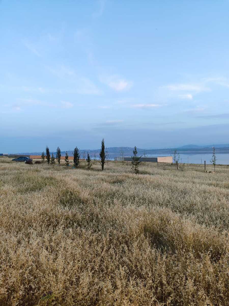 Satılır torpaq 4 sot — Torpaq, Bakı (2)