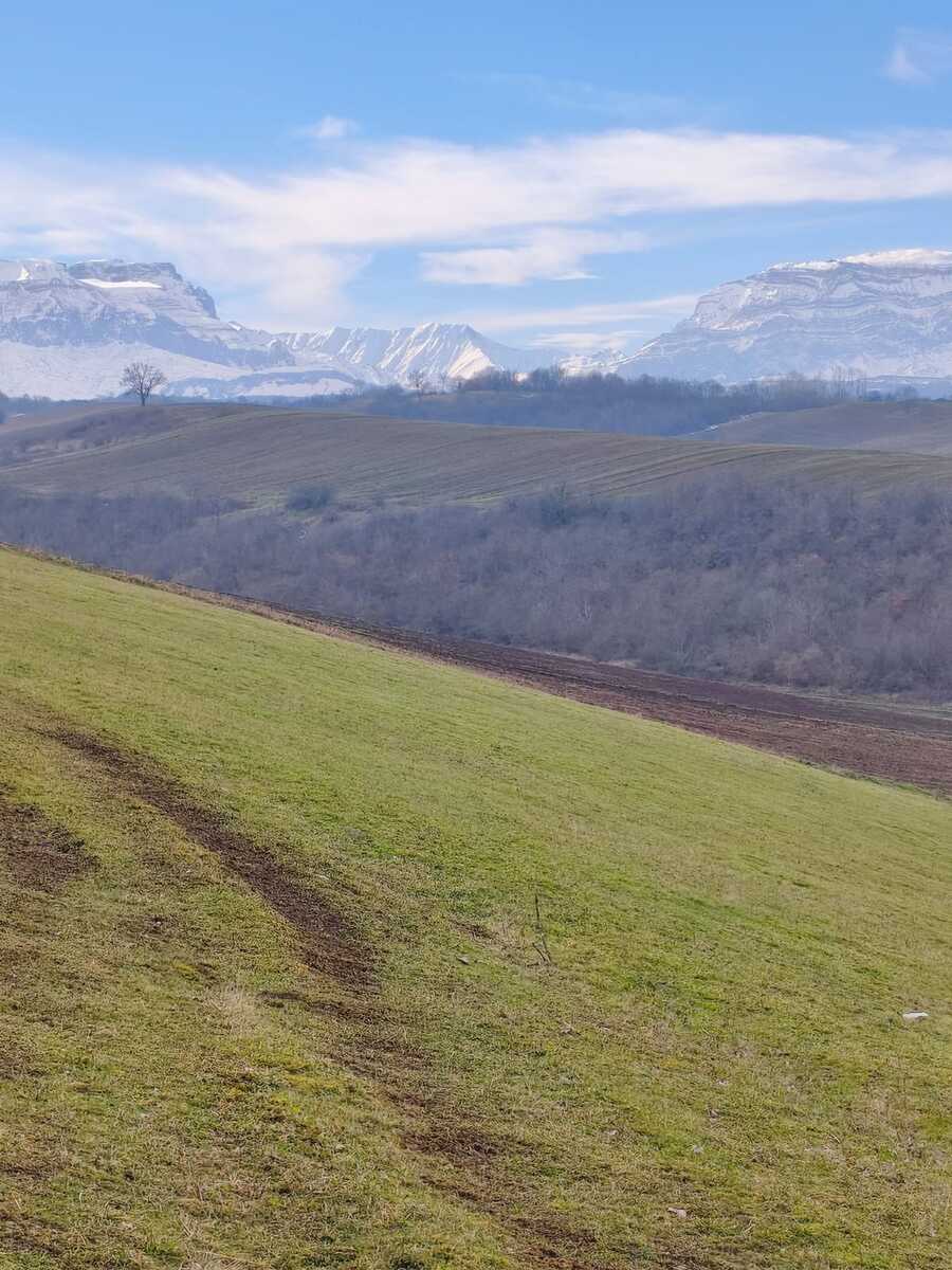 350 sot torpaq sahəsi, Qusar ş — Torpaq, Qusar (3)