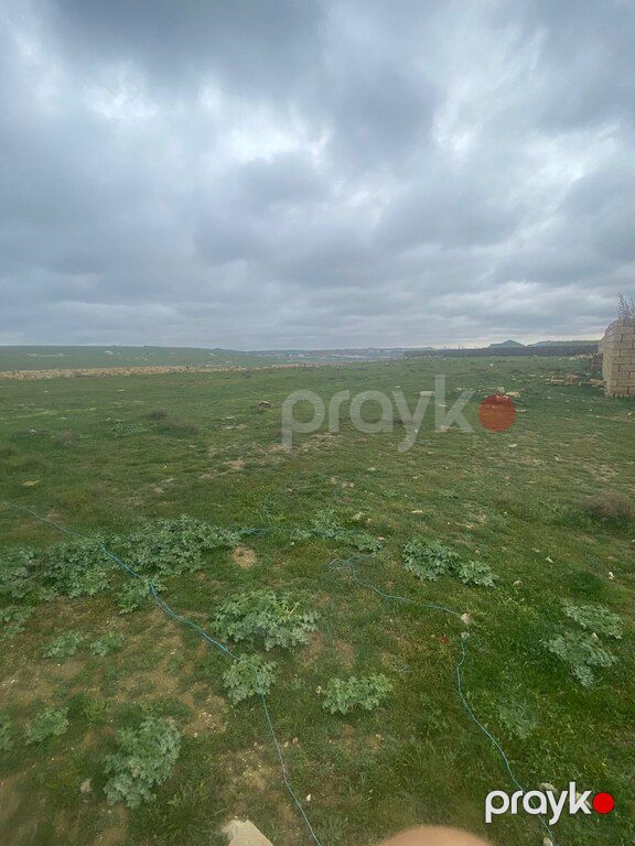 20 sot torpaq sahəsi, Novxanı qəs — Torpaq, Bakı (4)