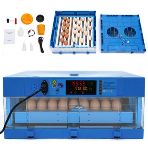 Avtomatik universal inkubator — Bakı