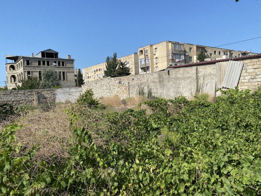 Satılır torpaq 6 sot — Torpaq, Bakı (4)