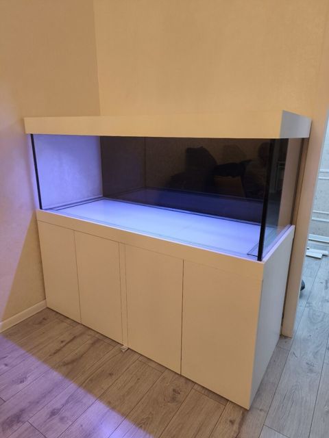 Premium akvarium — Bakı