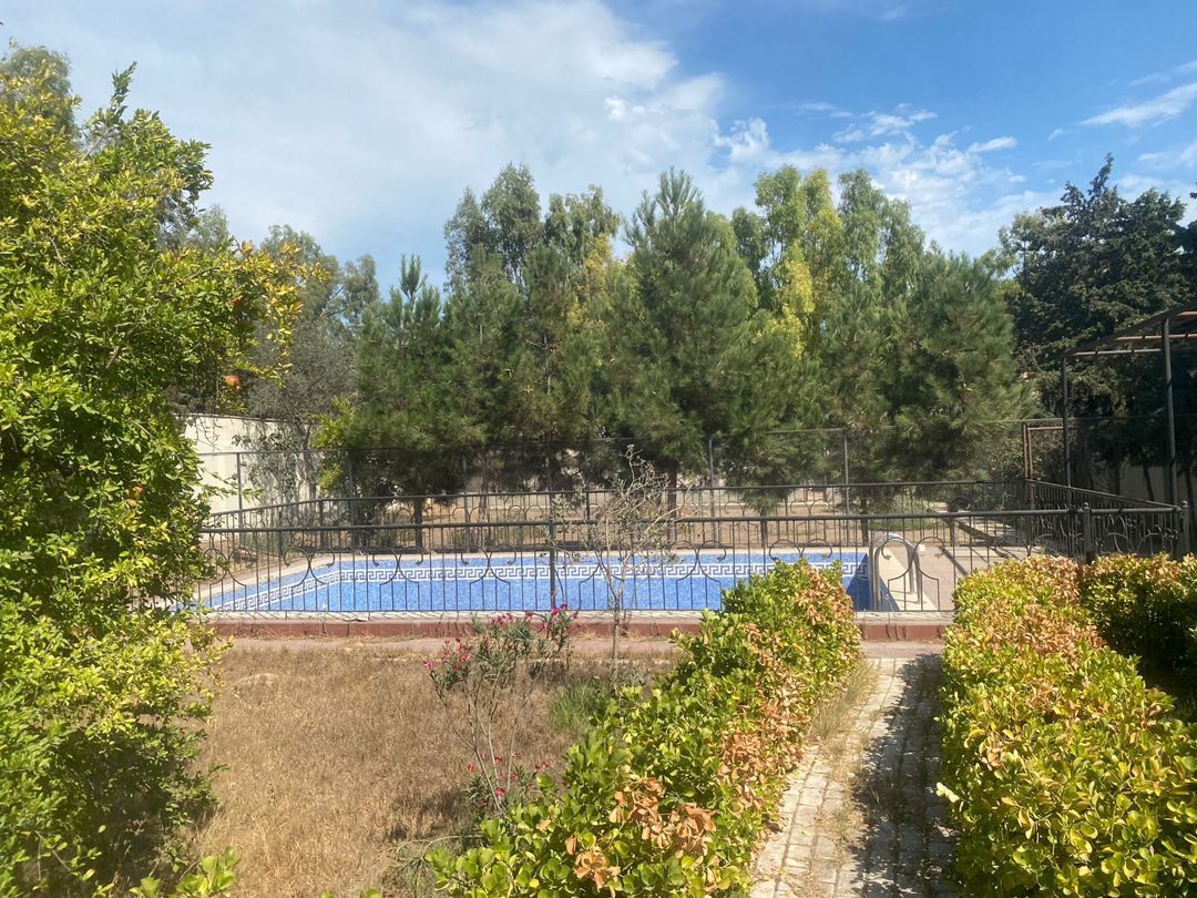 Satılır torpaq 60 sot — Torpaq, Bakı (6)