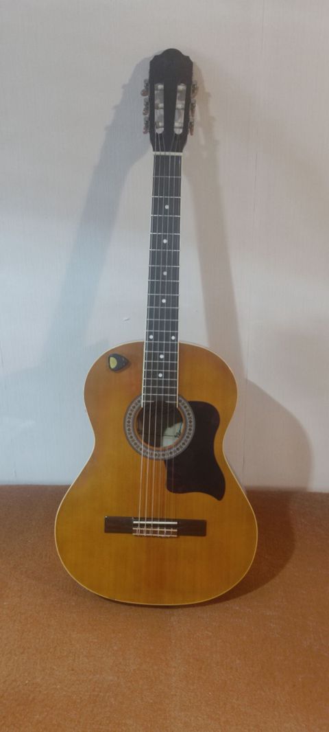 Mega Guitars LC 3910 elektro-klassik gitara - Model: Mega Guitars LC — Bakı