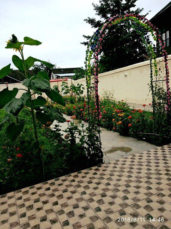 Bağ evi kirayə verilir, Şəki ş — Ev, villa, Şəki (3)