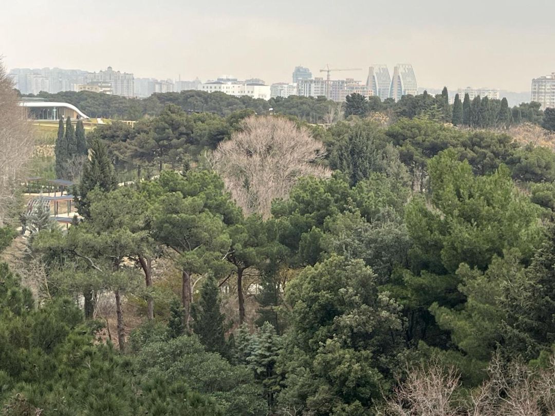 Satılır 3 otaqlı yeni tikili 152 m² — Mənzil, Bakı (5)