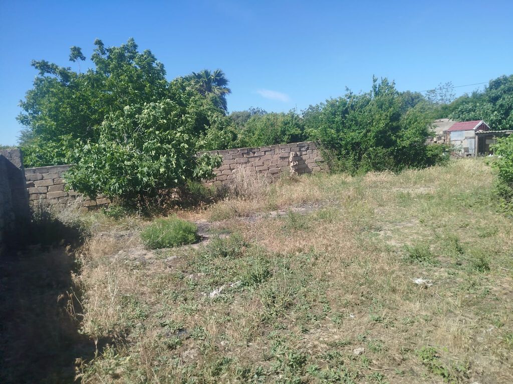 5 sot, Tikinti, Kupça (Çıxarış) — Torpaq, Bakı (5)
