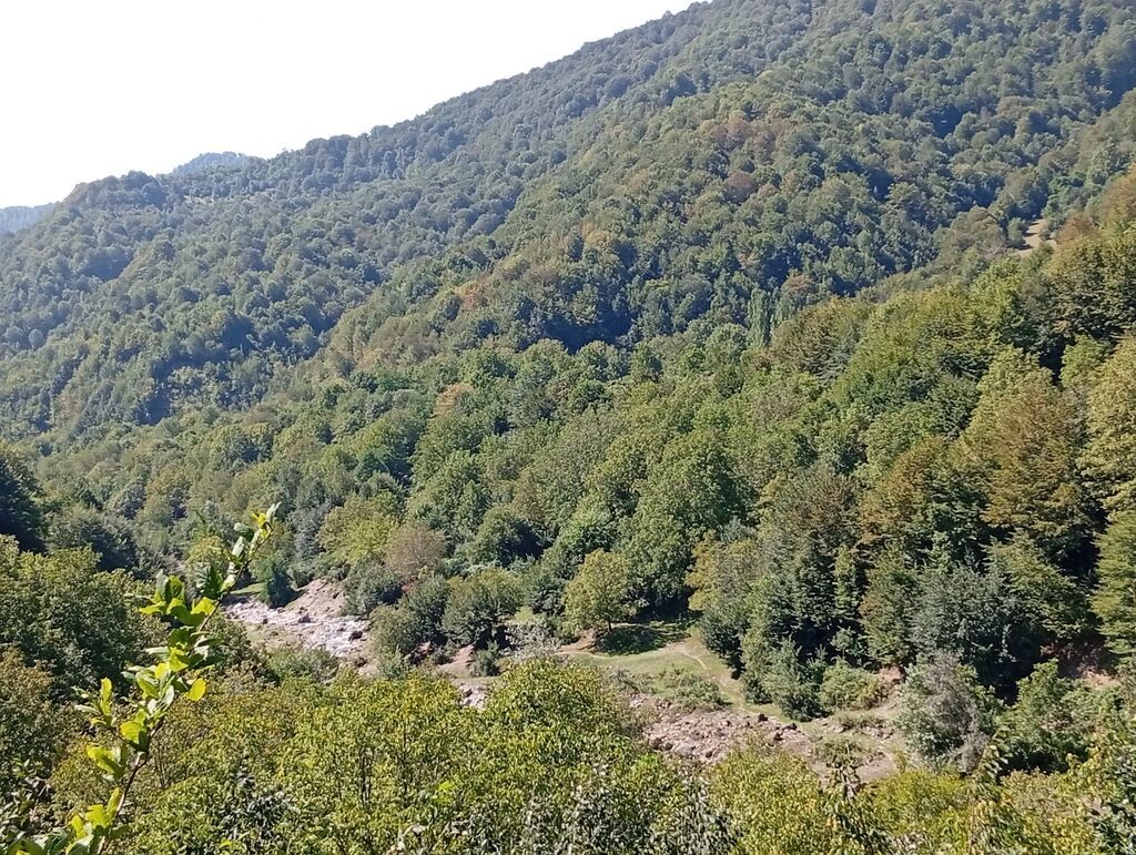 90 kv. m, 2 otaqlı, Hovuzsuz — Ev, villa, İsmayıllı (6)