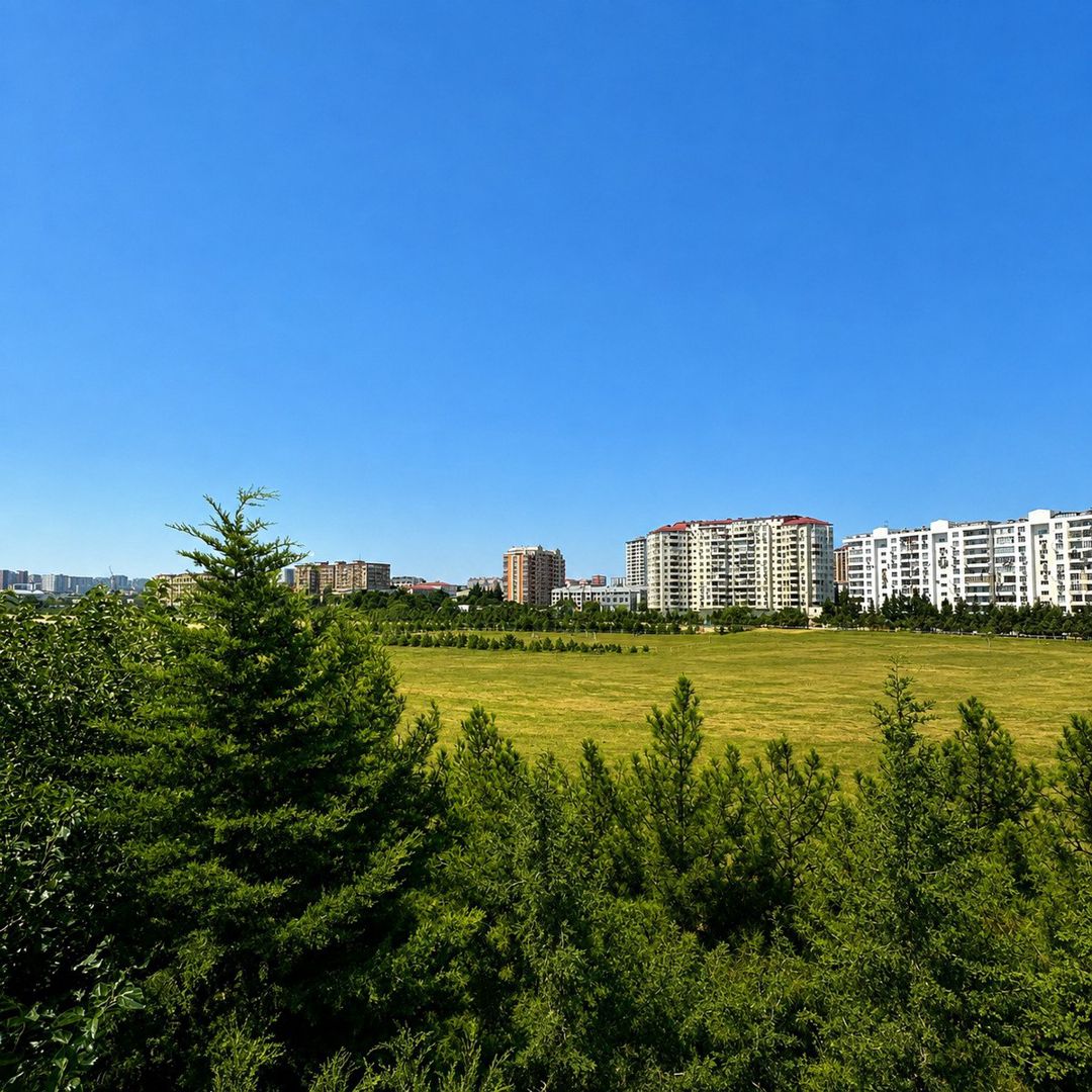 İcarəyə verilir obyekt 827 m² — Əmlak, Bakı (10)