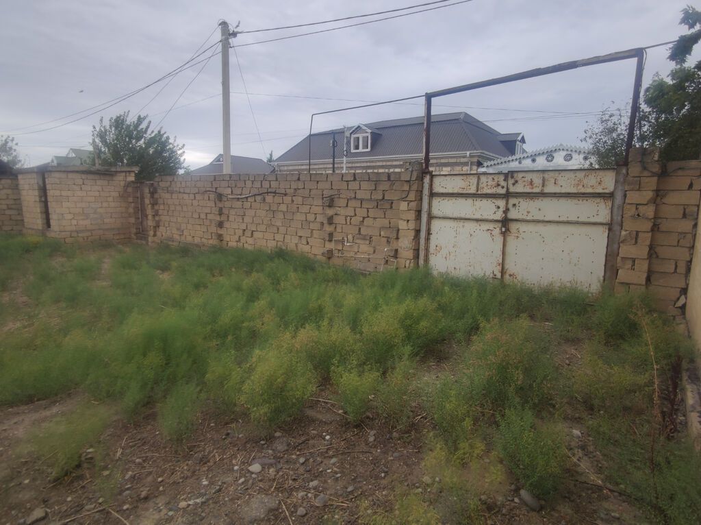 6 sot, Tikinti, Mülkiyyətçi, Kupça (Çıxarış) — Torpaq, Şirvan