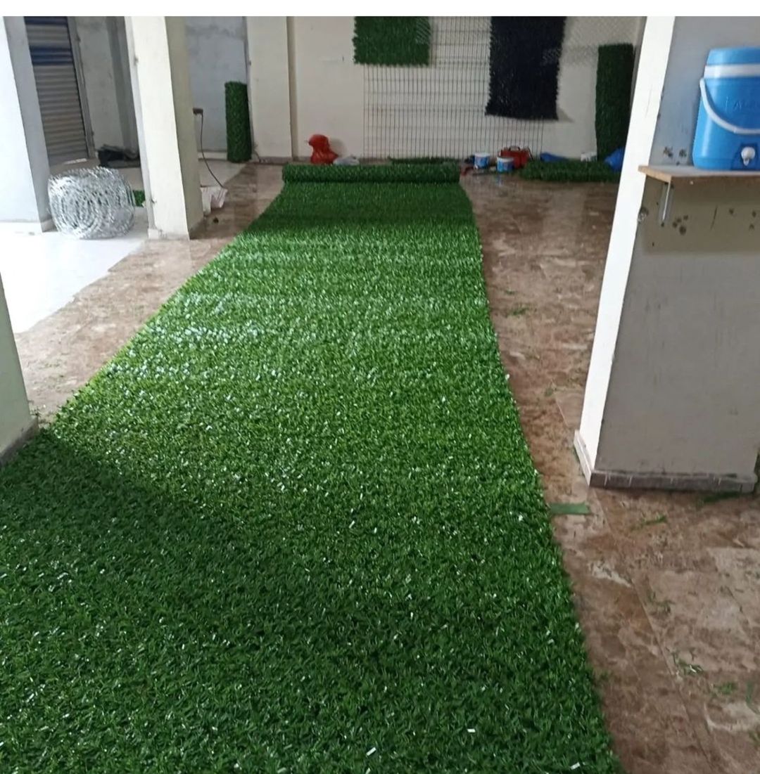 Süni dekorativ yaşıl hasar — Dacha və bağ, Bakı (3)