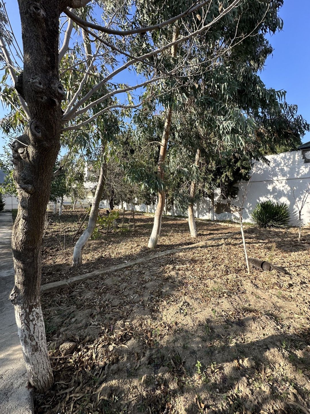 Satılır torpaq 12 sot — Torpaq, Bakı (4)