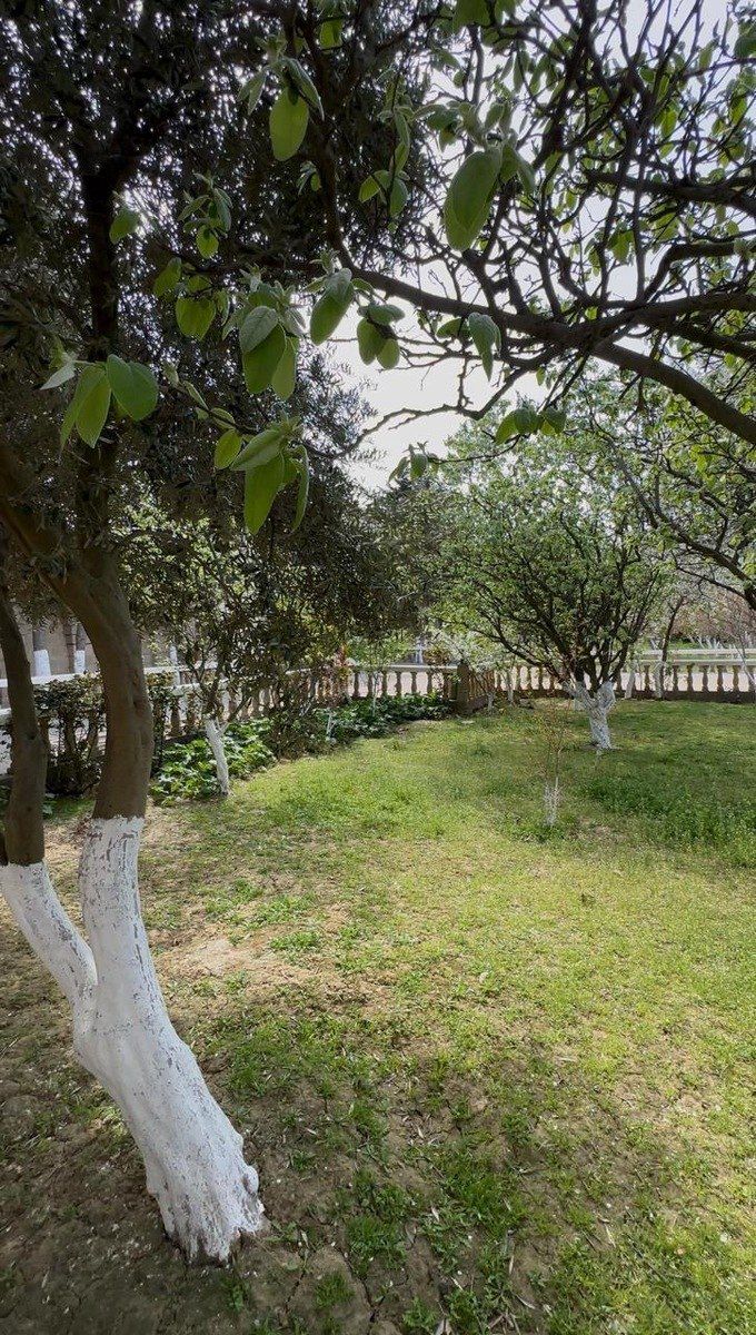 İcarəyə verilir 6 otaqlı həyət evi/bağ evi 420 m² — Ev, villa, Bakı (5)