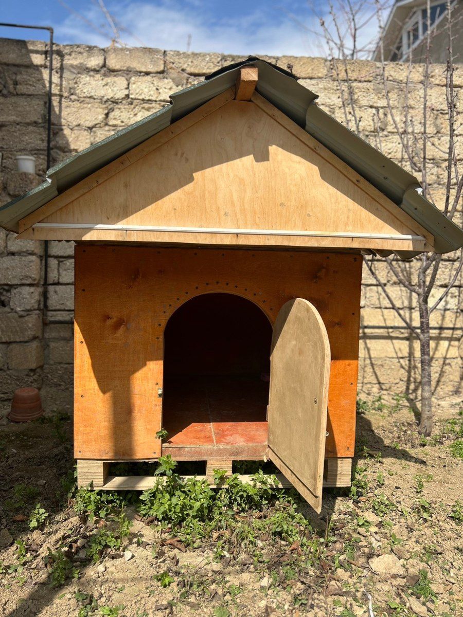İt yuvası — Heyvan malları, Bakı (4)