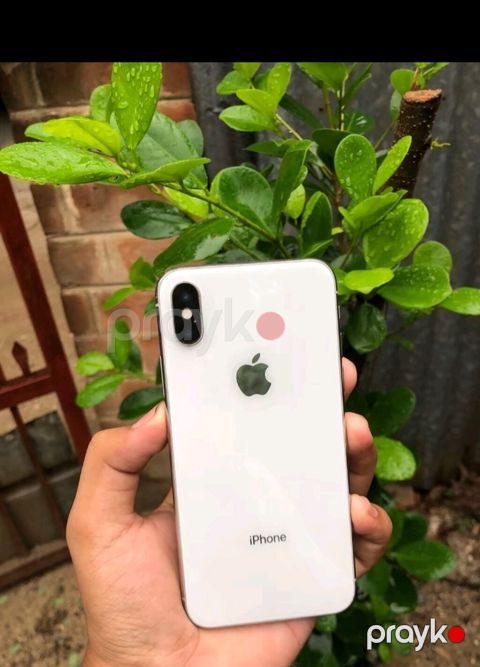 Apple iPhone X, Gümüş