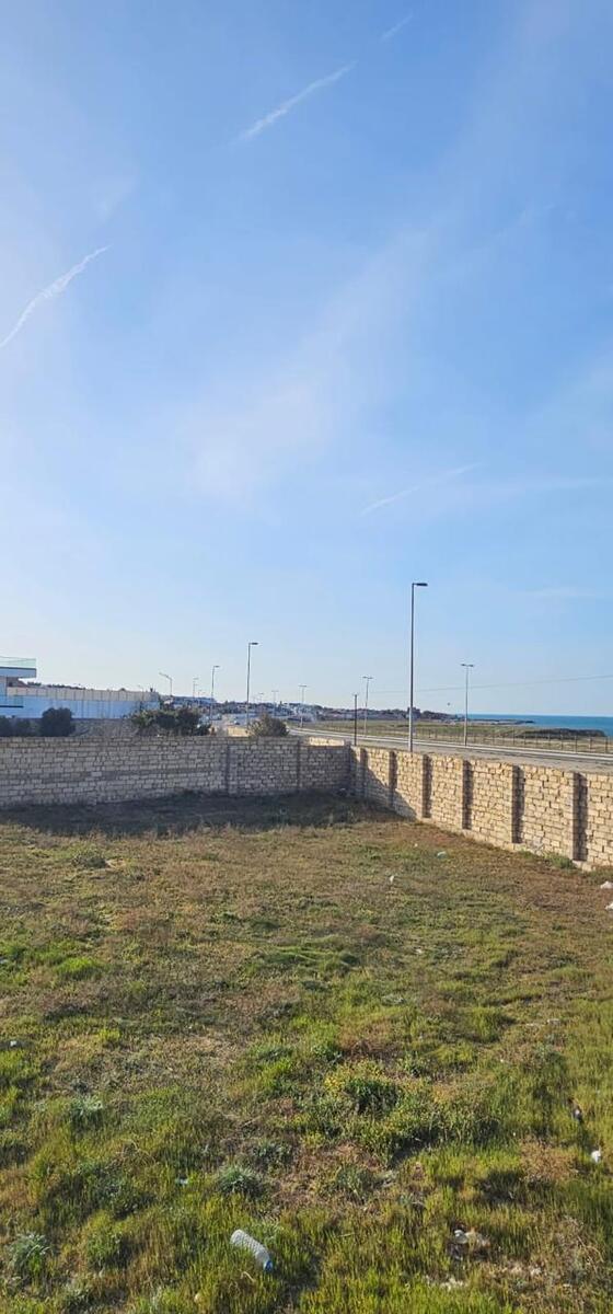 Satılır torpaq 31 sot — Torpaq, Bakı (2)