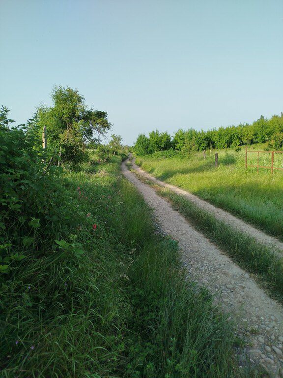 39 sot torpaq sahəsi, Quba r — Torpaq, Quba (4)