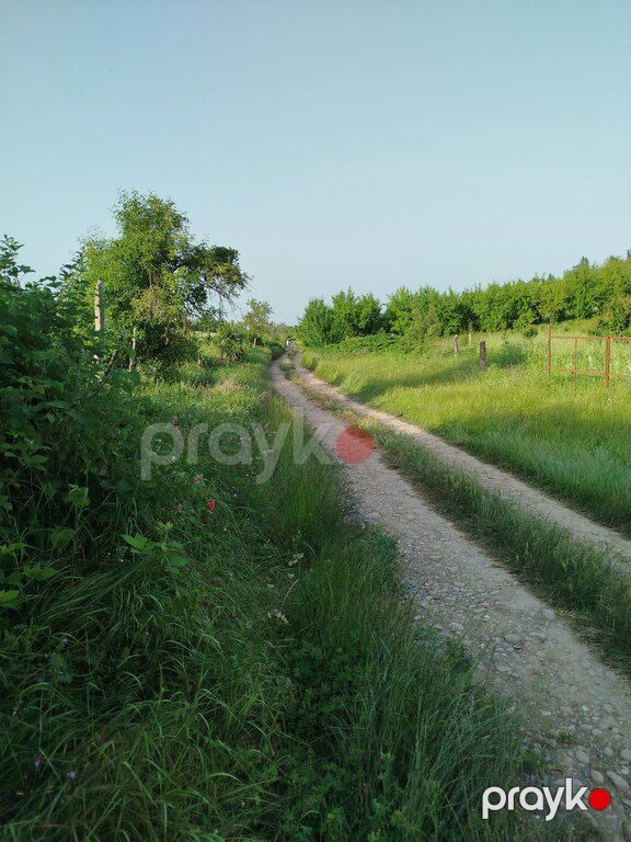 39 sot torpaq sahəsi, Quba r — Torpaq, Quba (4)