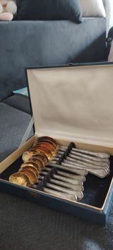 Gümüşü rəngdə çay qaşıqları dəsti – qutuda - Komplekt: 12 ədəd çay — Lalə