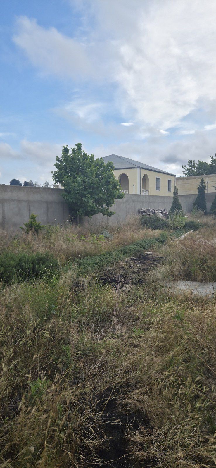 Satılır torpaq 12 sot — Torpaq, Bakı (4)