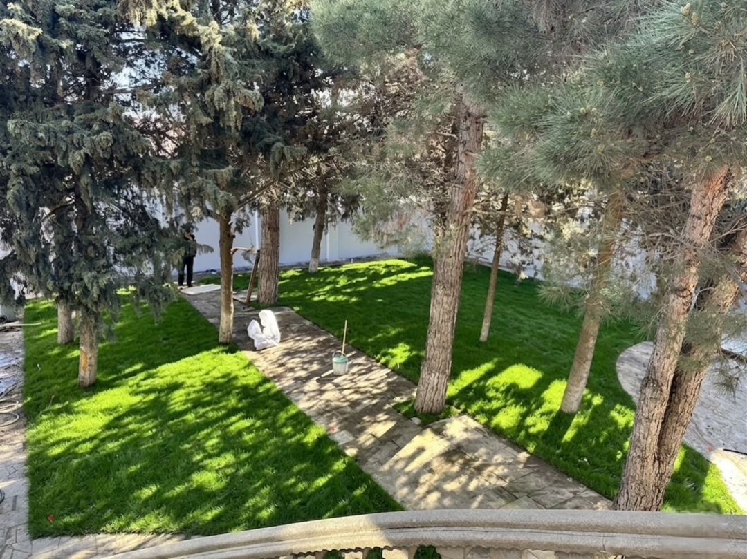 Qazon — Bitkilər, Bakı (7)