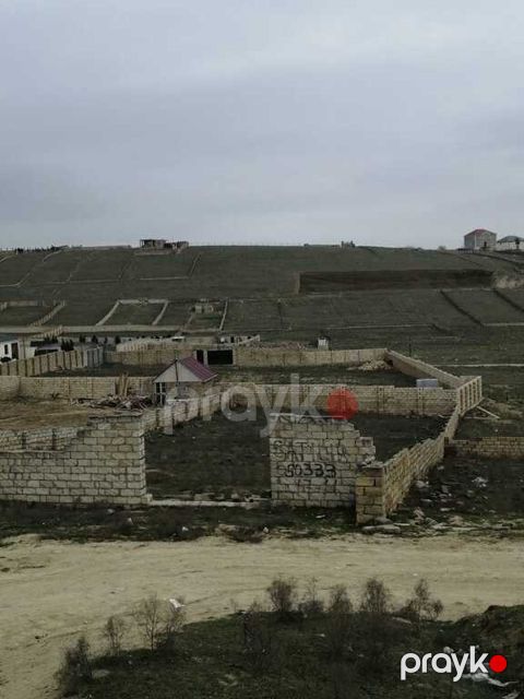10 sot torpaq sahəsi, Saray qəs