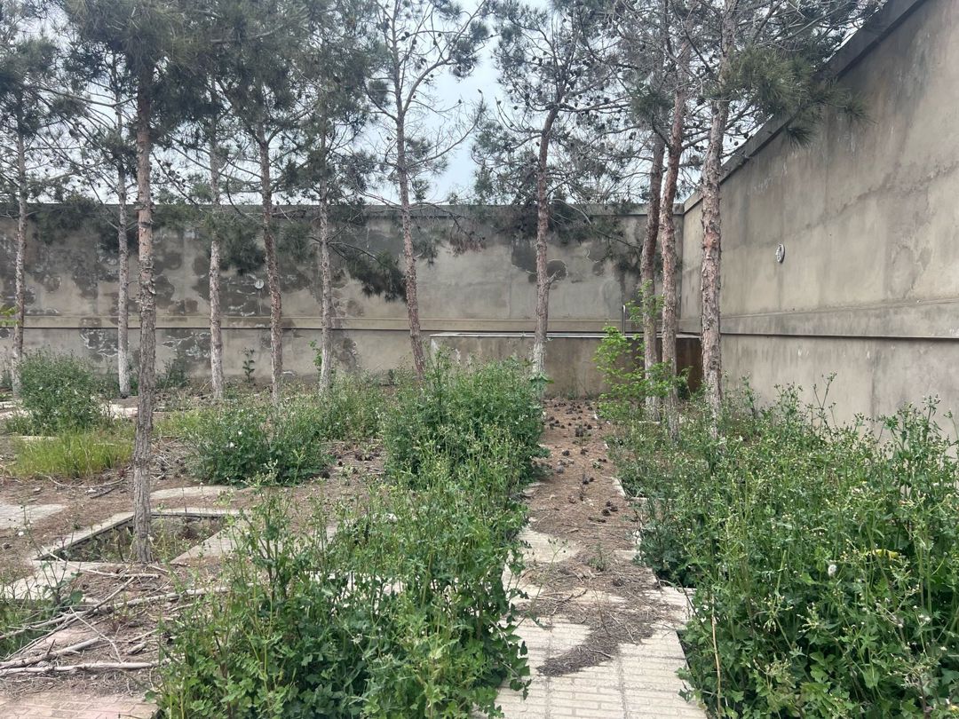 Satılır torpaq 20 sot — Torpaq, Bakı (3)