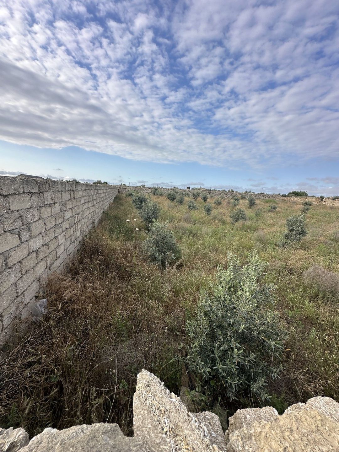 Satılır torpaq 24 sot — Torpaq, Bakı (3)