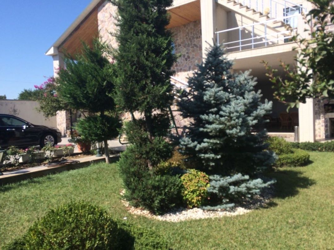 Satılır 6 otaqlı həyət evi/bağ evi 250 m² — Ev, villa, Bakı (12)