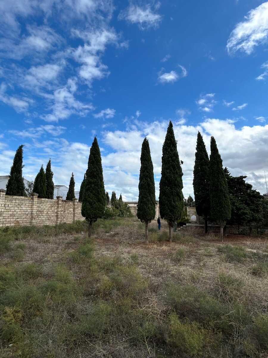 Satılır torpaq 22 sot — Torpaq, Bakı (6)