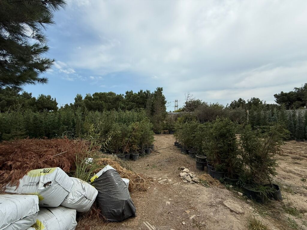 15.3 sot torpaq sahəsi, Buzovna qəs — Torpaq, Bakı (9)