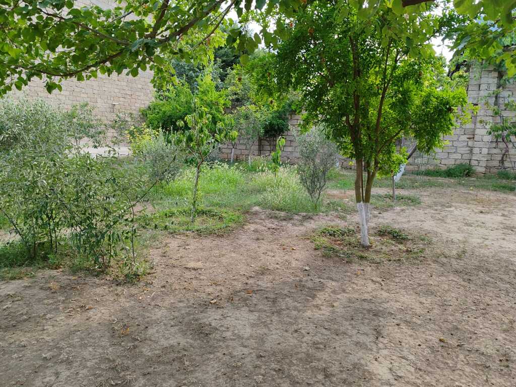 Həyət evi, Buzovna qəs — Ev, villa, Bakı (12)