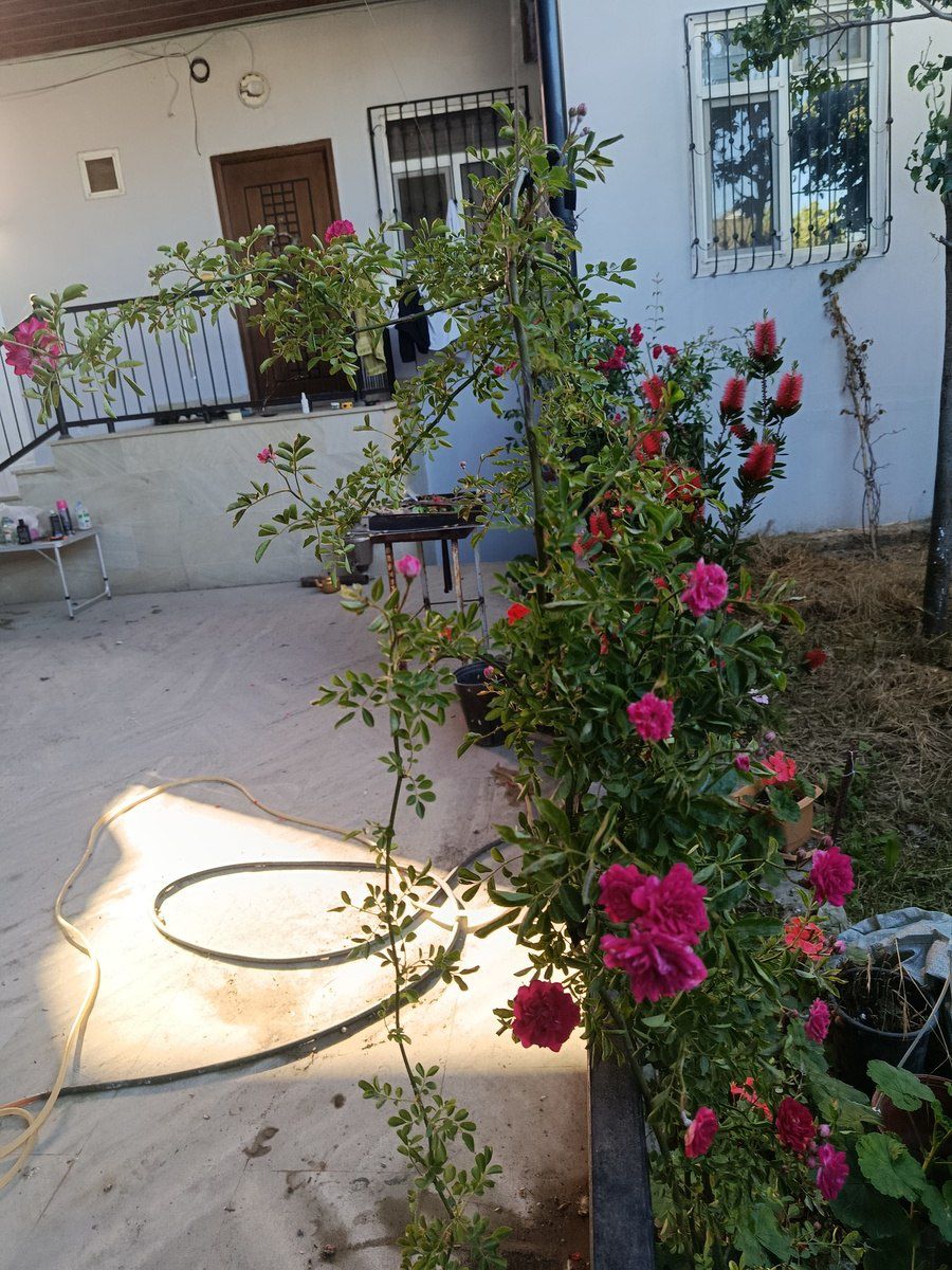 Həyət evi, 2.5 — Ev, villa, Bakı (5)