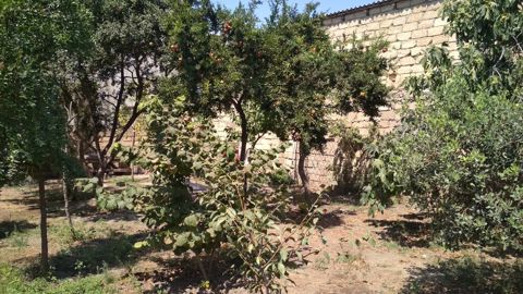 3 sot torpaq sahəsi, Xırdalan ş — Xırdalan